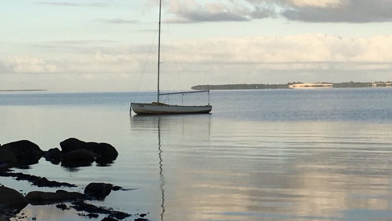 Inspiratie van Mark Twain. Gooi je trossen los, Friendly Health